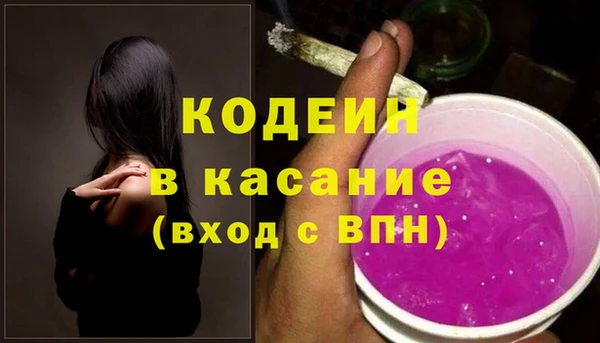 ГАЛЛЮЦИНОГЕННЫЕ ГРИБЫ Бородино