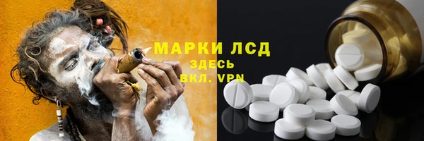 ГАЛЛЮЦИНОГЕННЫЕ ГРИБЫ Бородино