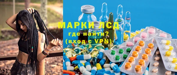 ГАЛЛЮЦИНОГЕННЫЕ ГРИБЫ Бородино