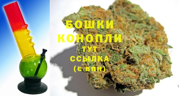 ГАЛЛЮЦИНОГЕННЫЕ ГРИБЫ Бородино