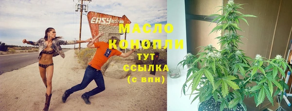 ГАЛЛЮЦИНОГЕННЫЕ ГРИБЫ Бородино